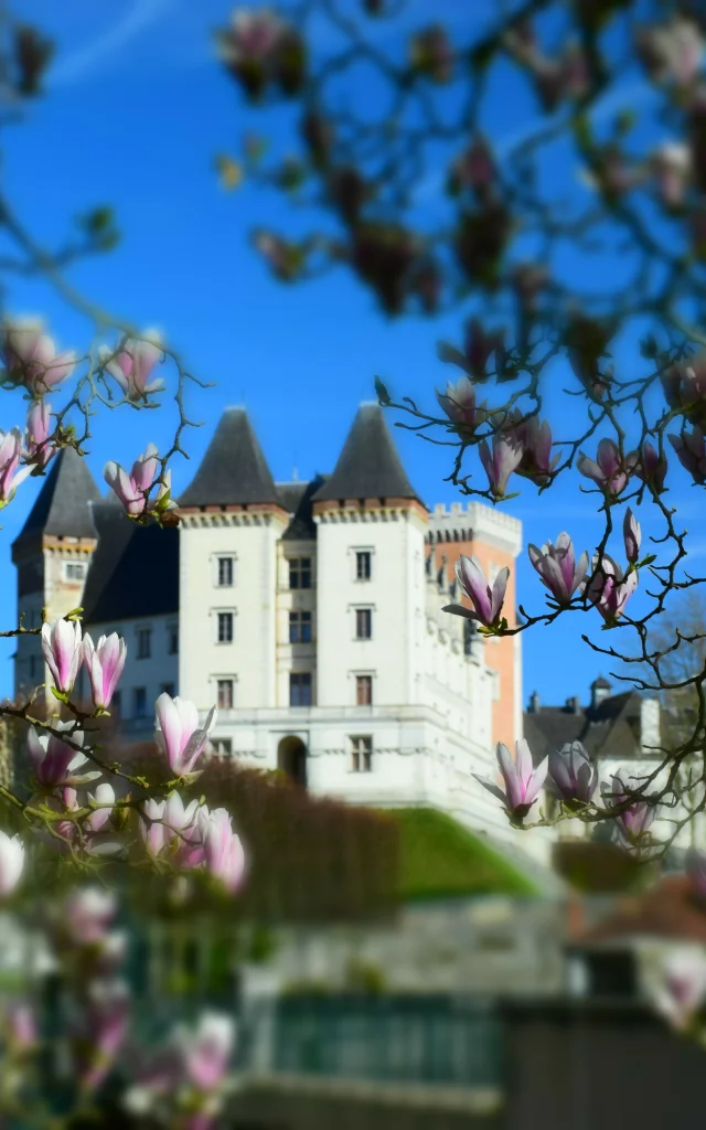 Château de Pau et magnolias