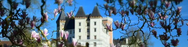 Château de Pau et magnolias