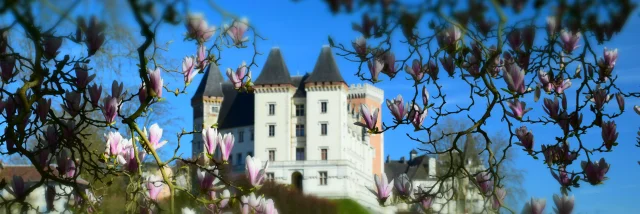 Château de Pau et magnolias