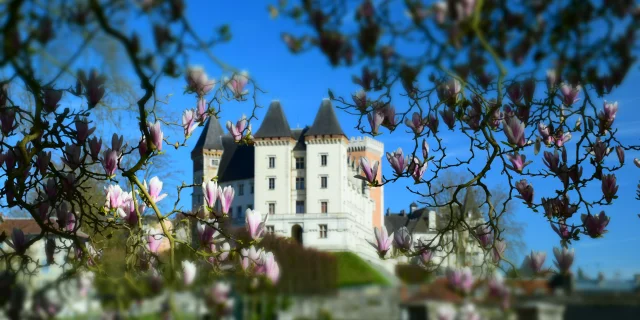 Château de Pau et magnolias