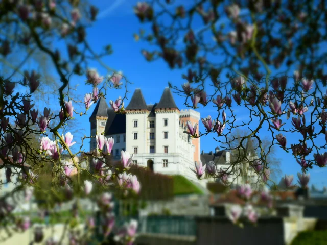 Château de Pau et magnolias