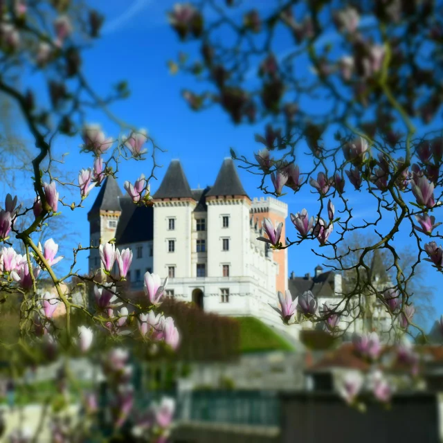 Château de Pau et magnolias