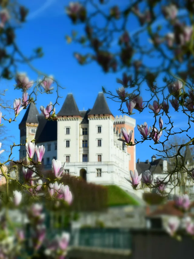 Château de Pau et magnolias