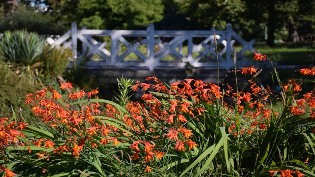 Parc Beaumont Pau