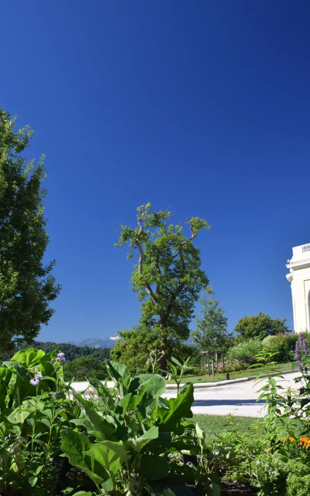 Parc et Palais Beaumont - Pau