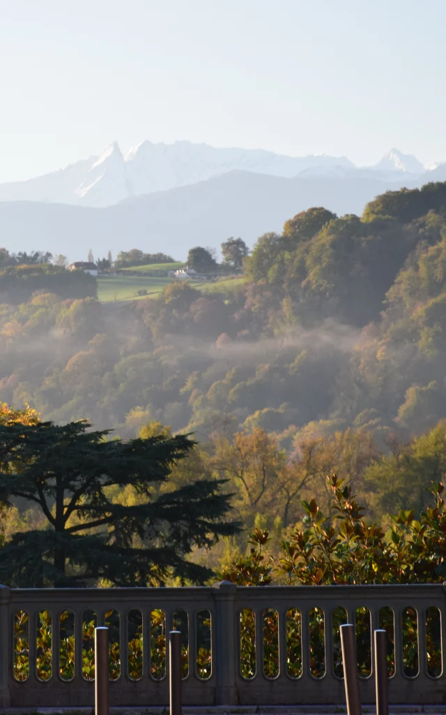 Boulevard des Pyrénées - Pau