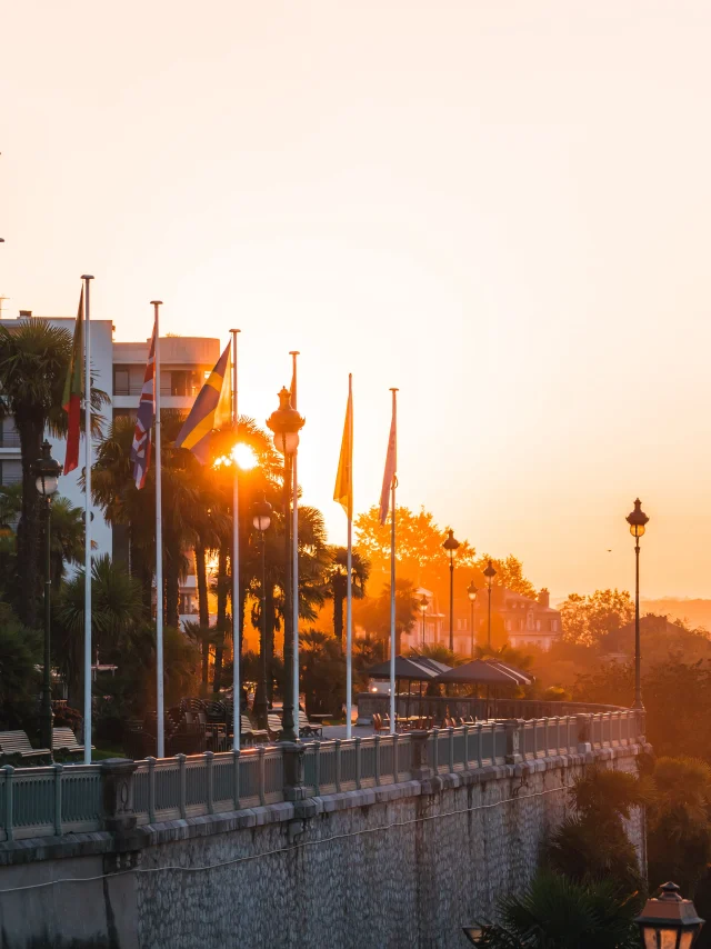 Lever de soleil sur le boulevard des Pyrénées - Pau