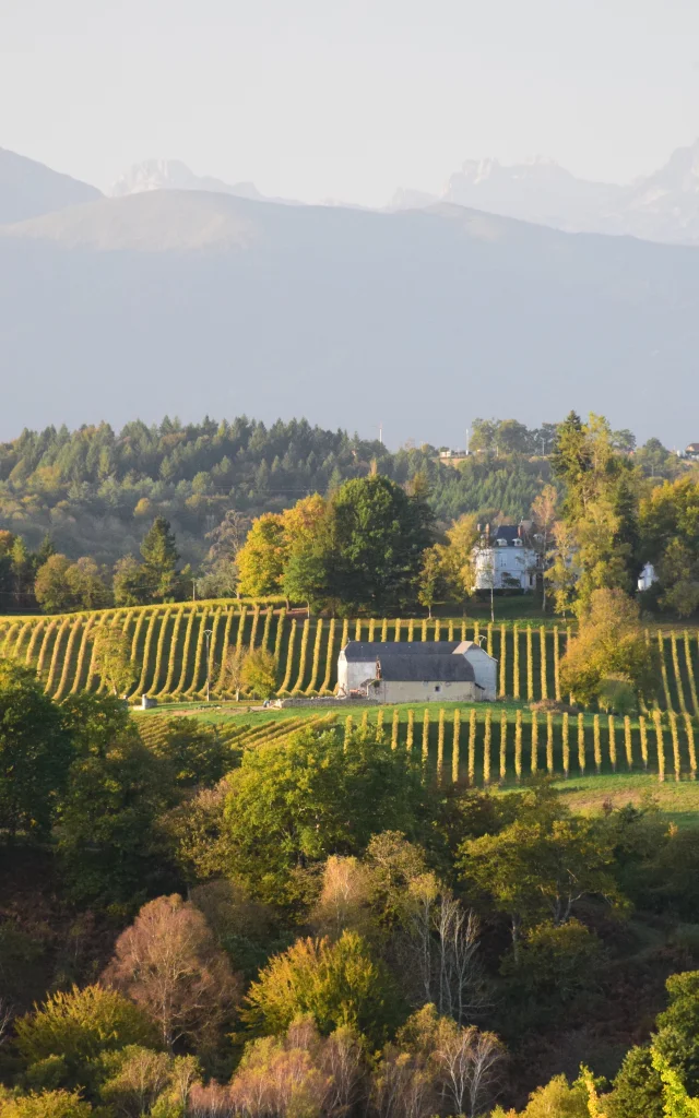 Coteaux de Jurançon