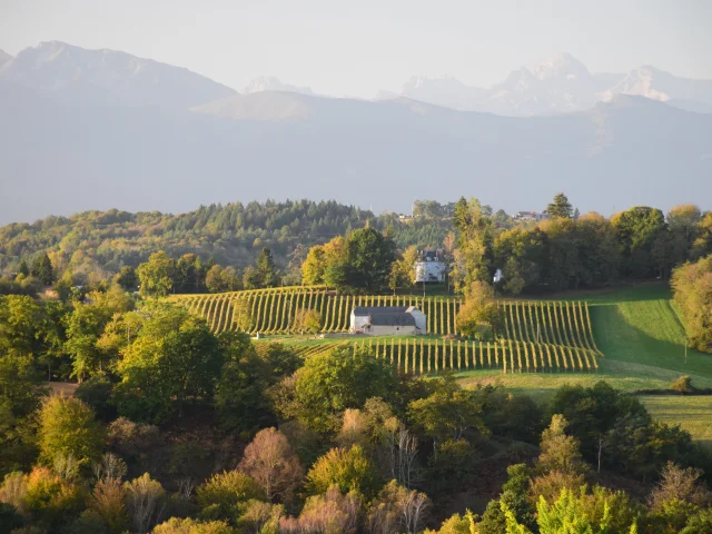 Coteaux de Jurançon