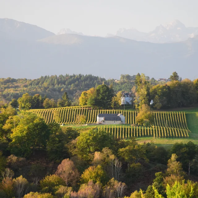 Coteaux de Jurançon