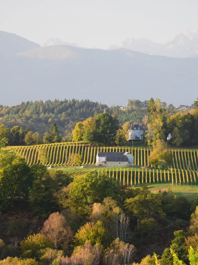 Coteaux de Jurançon