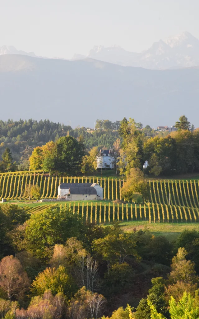 Coteaux de Jurançon