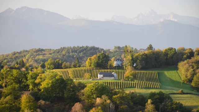 Coteaux de Jurançon