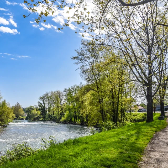 A walk along the river gave - Billère