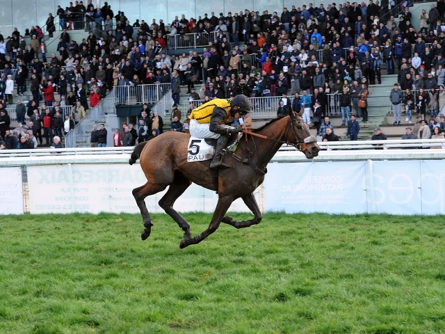 Hippodrome Pont Long Pau Grand Cross Ville De Pau