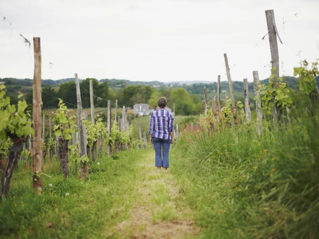 Domaine Latapy - Irène Guilhendou - Jurançon