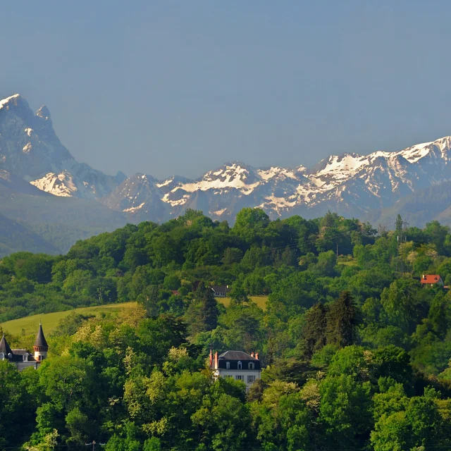 Los Pirineos Desde Pau 02