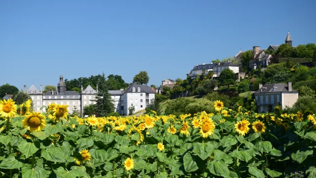 Lescar Cite Nature Tournesol Pau Pyrenees Tourisme 1