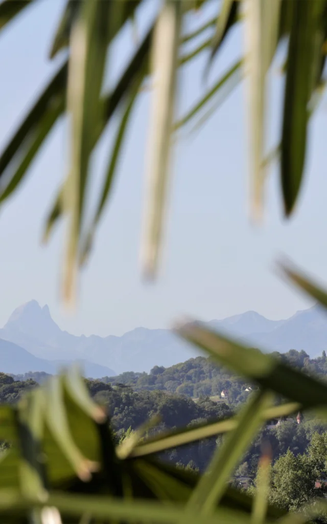 Pau, vue du boulevard des Pyrénées