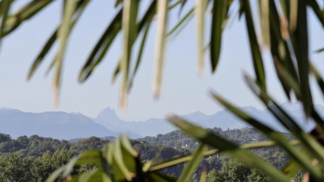 Pau, vue du boulevard des Pyrénées