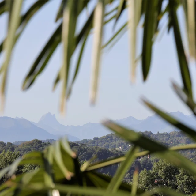 Pau, vue du boulevard des Pyrénées