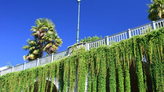 Boulevard des Pyrénées - Pau