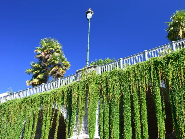 Boulevard des Pyrénées - Pau