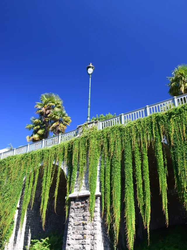 Boulevard des Pyrénées - Pau