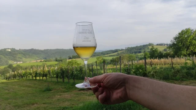 Jurançon - Domaine Burgué-Seré