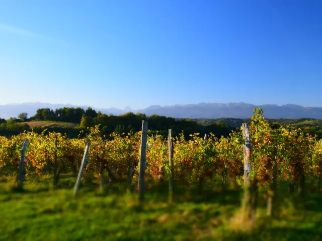 Vignoble Du Jurancon Vignes Pyrenees Ciel Bleu Pau Pyrenees Tourisme Stephane Torres