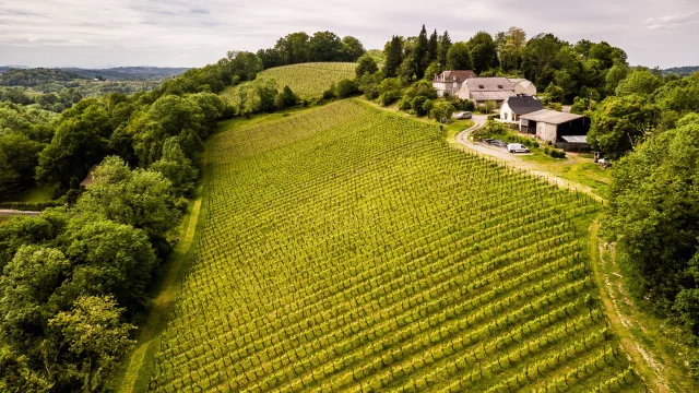 Vignoble de Jurançon - Domaine Latapy