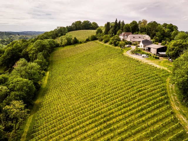 Vignoble de Jurançon - Domaine Latapy