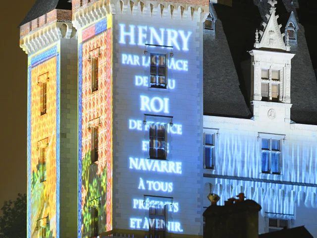 Spectacle son et lumières Henri H IV, l'histoire d'un roi – Pau