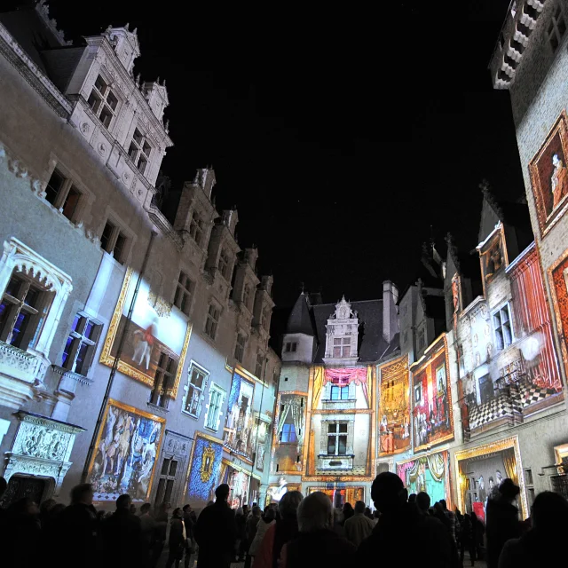 Spectacle son et lumières Henri H IV, l'histoire d'un roi – Pau