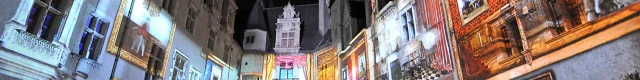 Spectacle son et lumières Henri H IV, l'histoire d'un roi – Pau