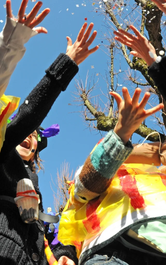 Carnaval Biarnes à Pau