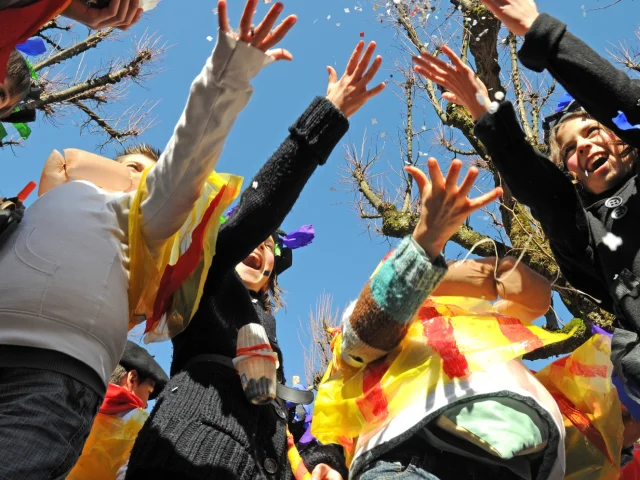 Carnaval Biarnes à Pau