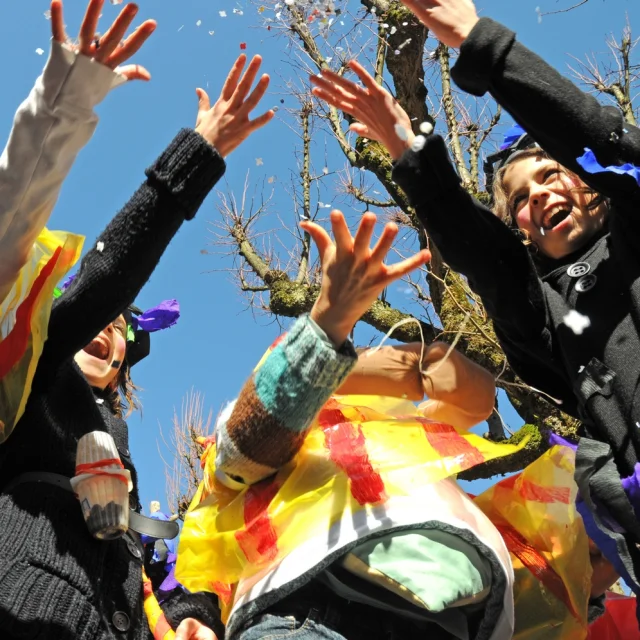 Carnaval Biarnes à Pau