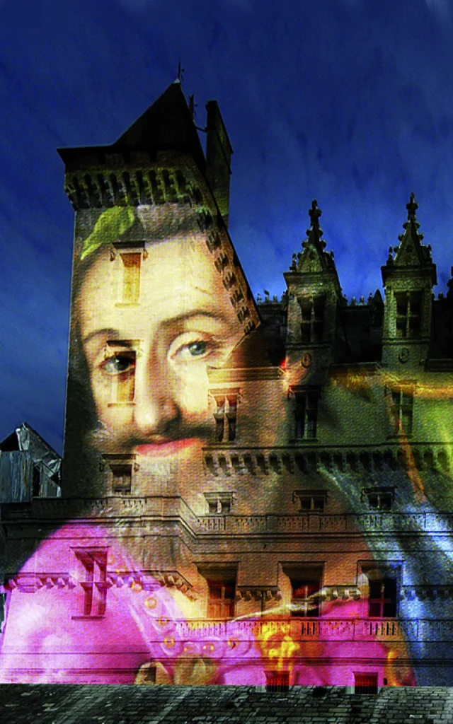 Spectacle son et lumières Henri H IV, l'histoire d'un roi – Pau