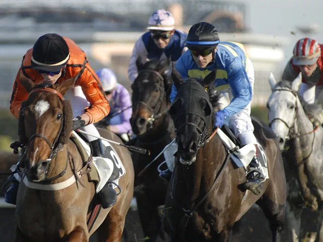 Hippodrome du Pont-Long à Pau - Course de chevaux - Meeting d'hiver