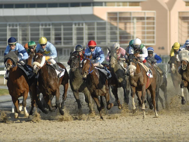 Hippodrome du Pont-Long à Pau - Course de chevaux - Meeting d'hiver