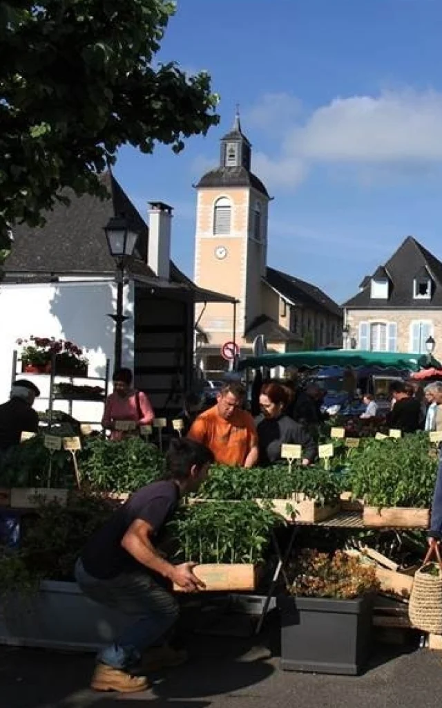 Marché de Gan