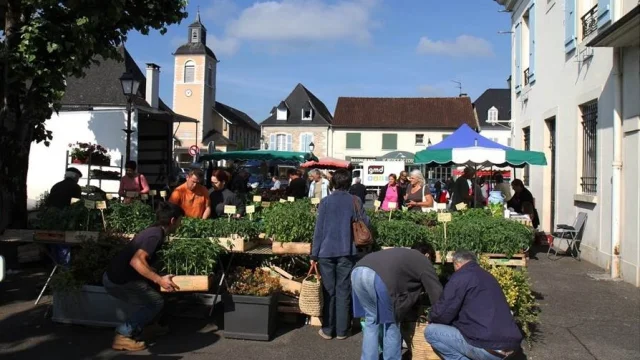 Marché de Gan