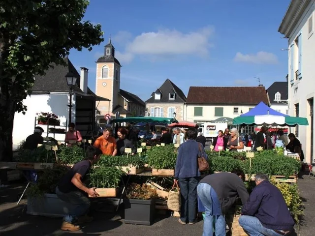 Marché de Gan