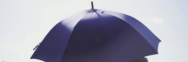 Parapluie de berger à Pau