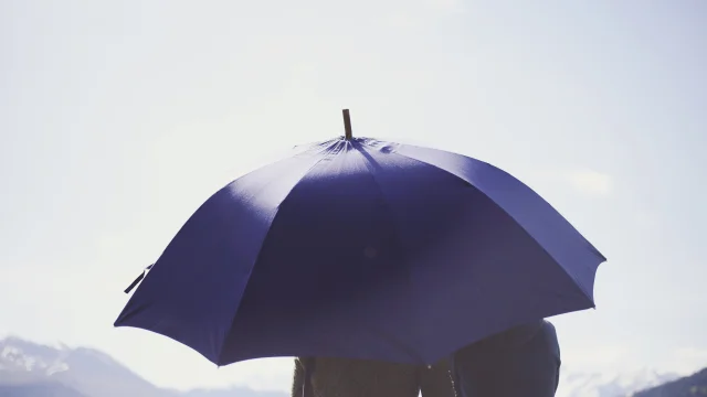 Parapluie de berger