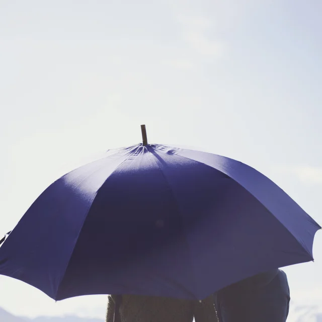 Parapluie de berger