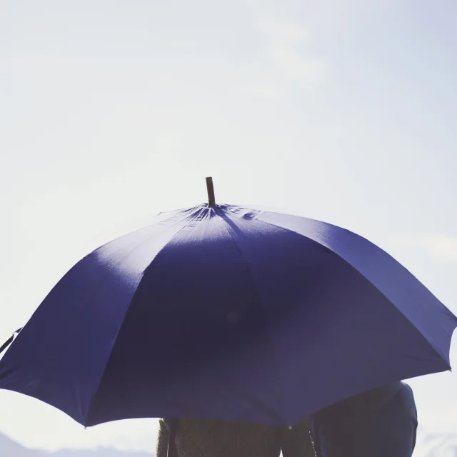 Parapluie de berger à Pau