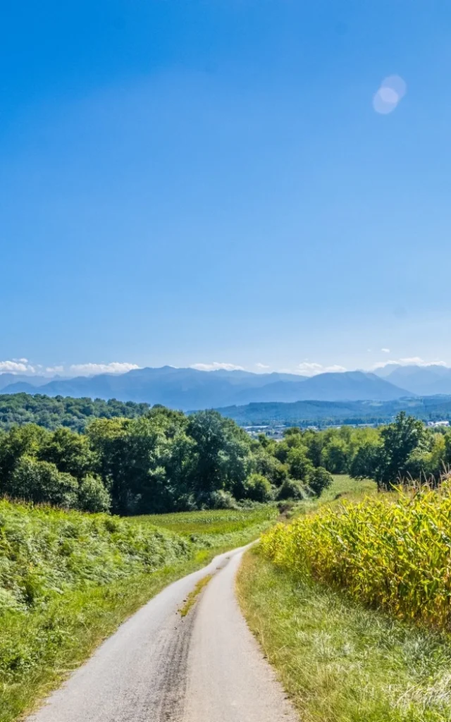 Balades et randonnées à Pau Béarn Pyrénées