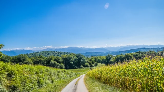 Balades et randonnées à Pau Béarn Pyrénées